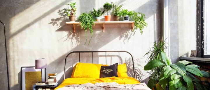 kleines Schlafzimmer mit Bett, Nachttisch und Pflanzen
