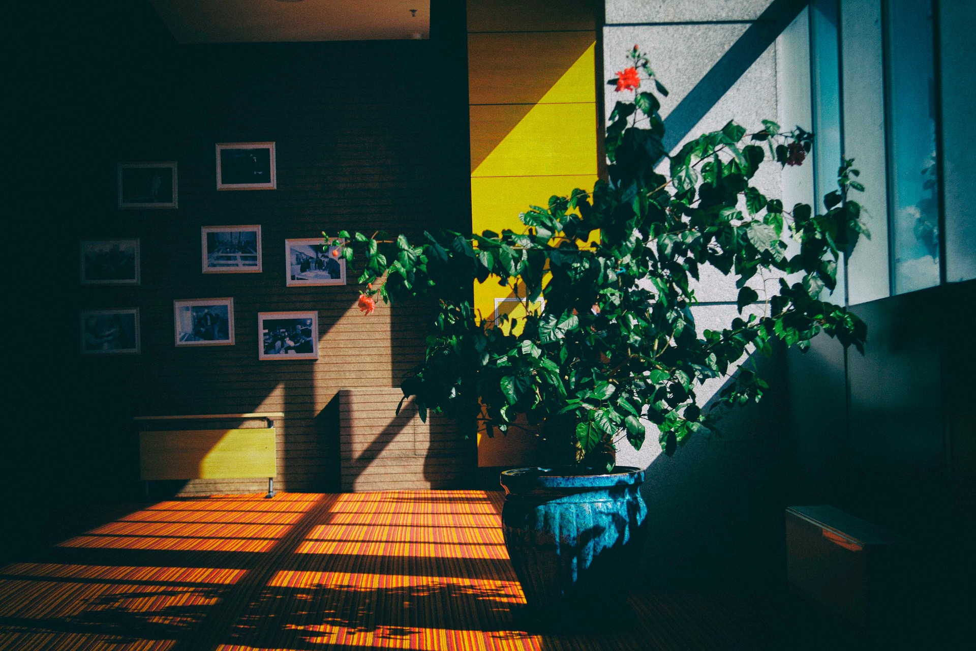 Déco naturelle avec des plantes.
