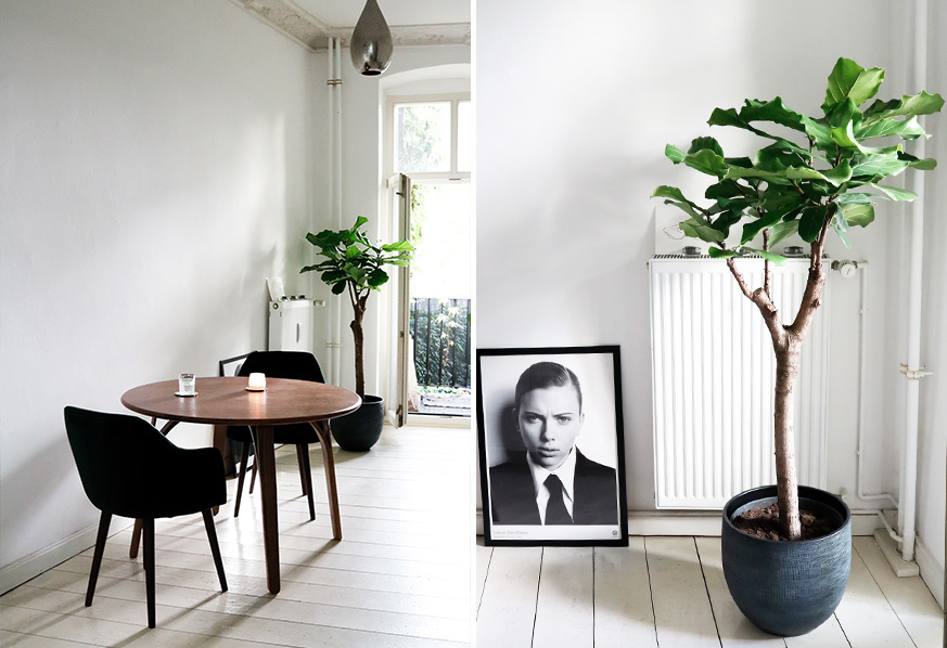 Essbereich in der Küche von Leonie Markhorst: Eine kleine Sitzplatzgruppe, eine Fotografie von Scarlett Johannson und eine kleine Pflanze